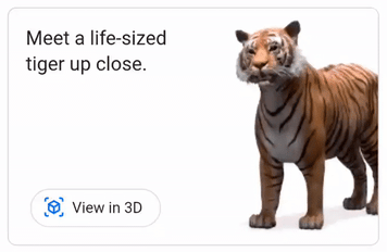 google_tiger